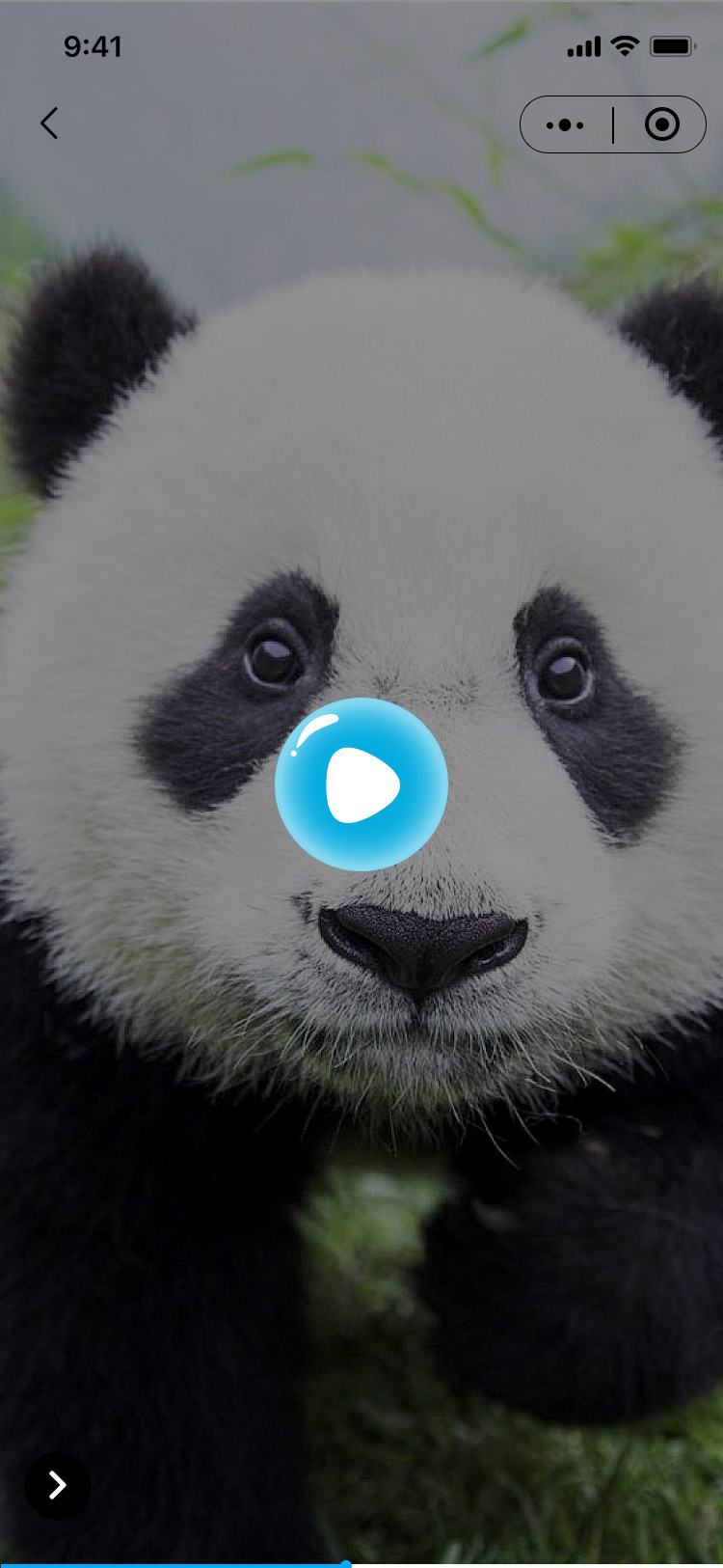 中华人寿客服节